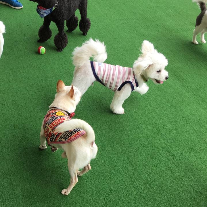 F770b740 4f21 4b2b 85da dffaacea0bad