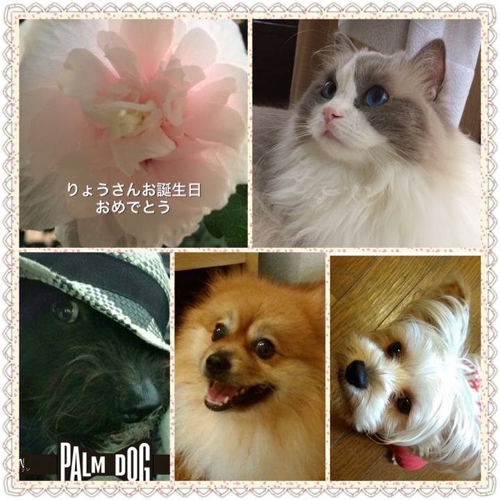 F7711a02 175b 4b24 9a4d 45d8418e4a13