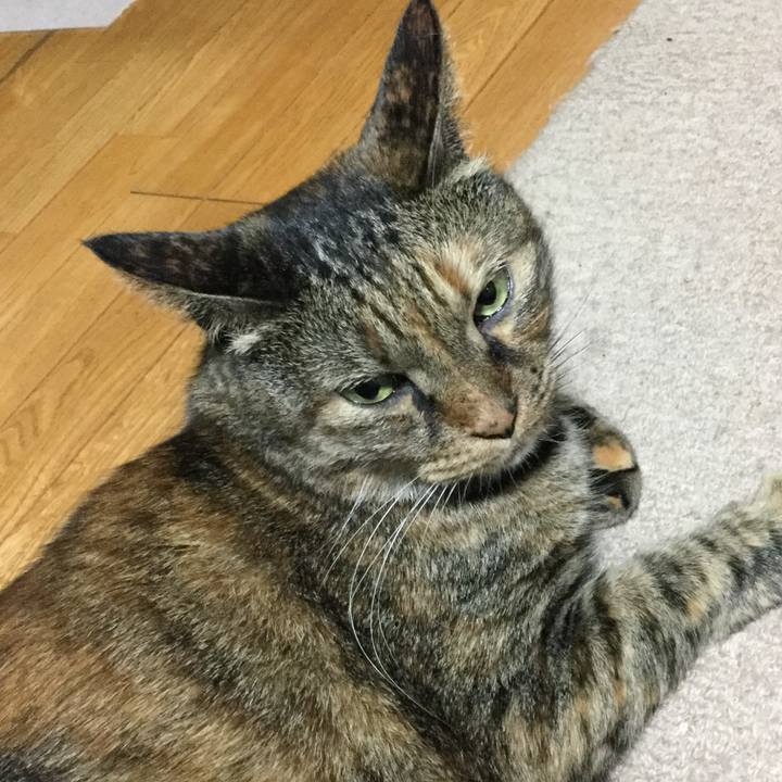 F7716cb2 19d5 48f2 a928 cac96bf75138