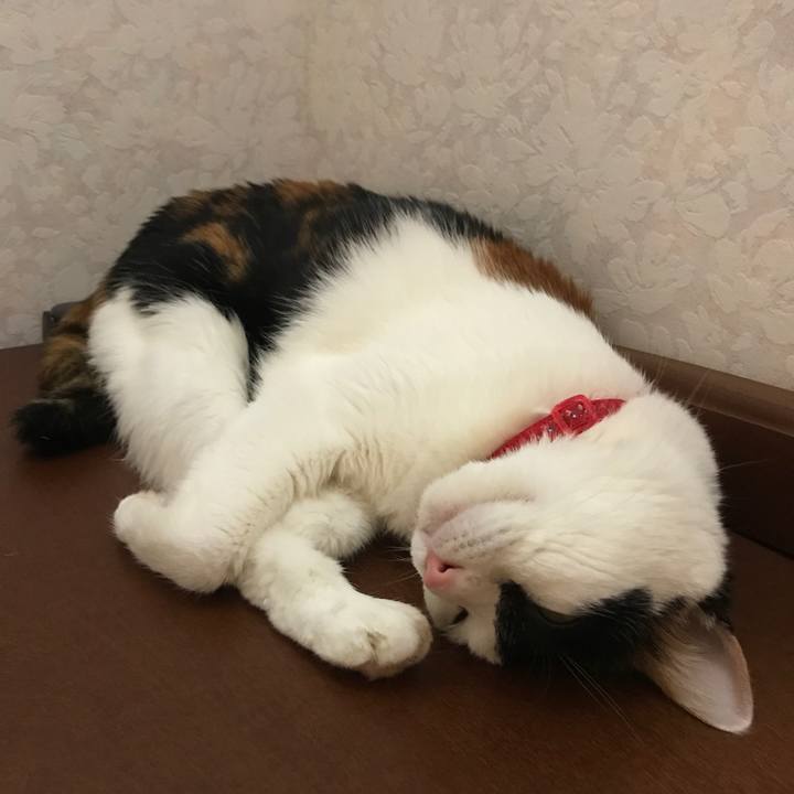 F77178aa cf71 44d7 98ff 149cf542e405