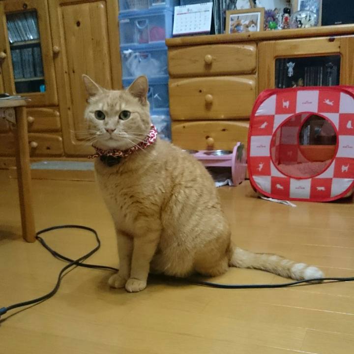 F771ac49 1048 4011 b22a 6afed5b0243c