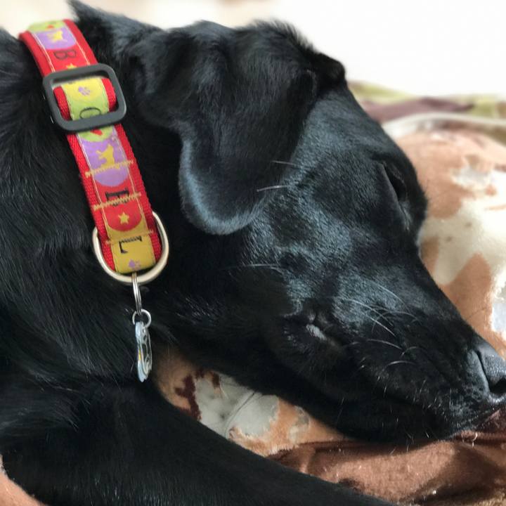 F772f406 fac6 4894 ab71 ace61aa86ed7