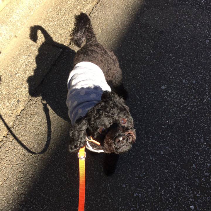 F7734a48 576a 4747 8ead c5b7a64c18f5