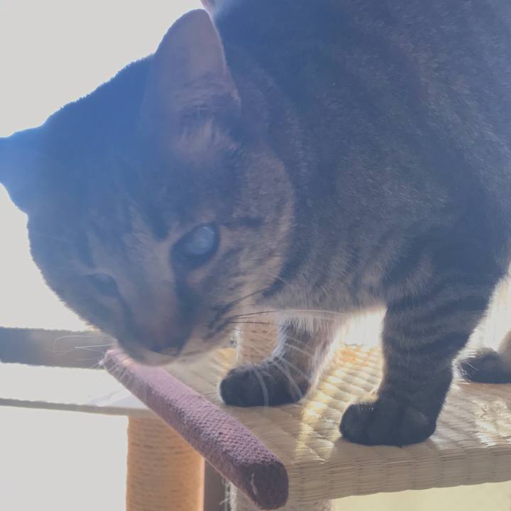 F7739d6a 9223 45e5 8c73 8aa51724b9a4