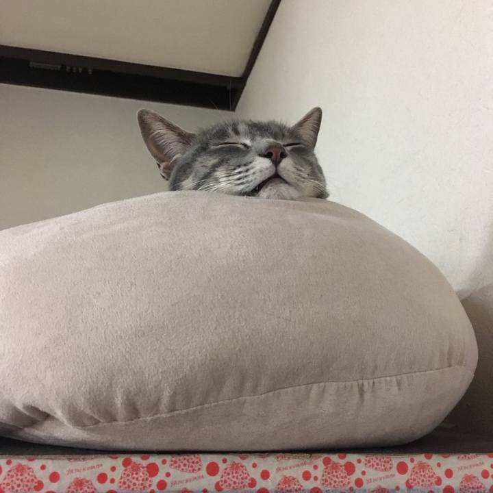 F773e0bd 8ba7 4ab8 aafd 74d30d9b47a0