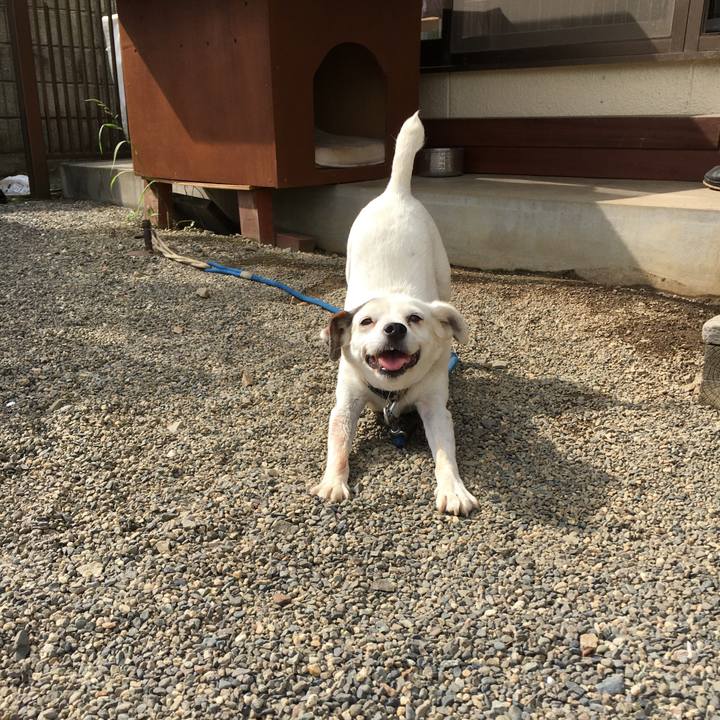 F773e2de 20b2 472e 95f7 e18a2992e6bf