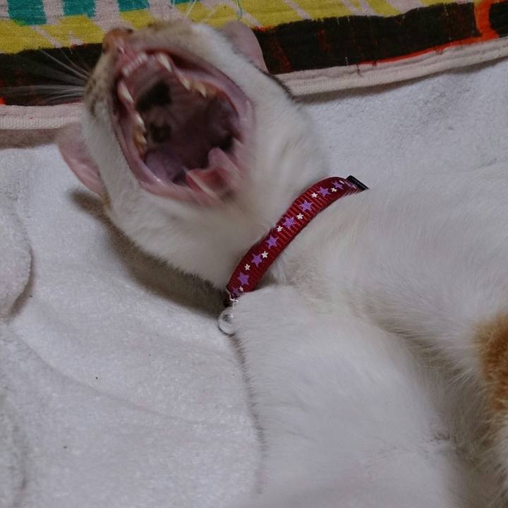 F774e850 e015 4363 af70 95abf65a62de