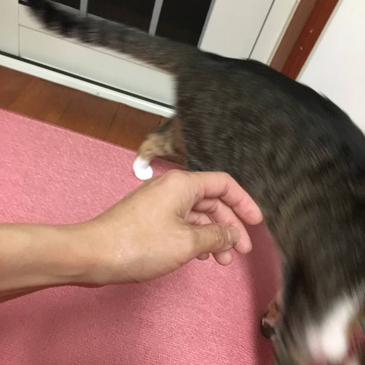 F775aa9d 4ecf 4557 8628 d6c14db79cd4