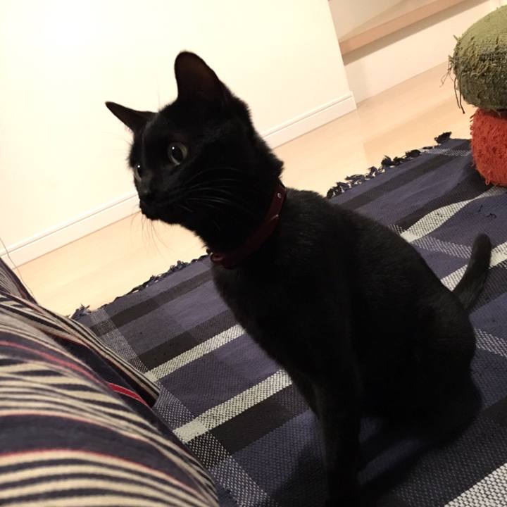 F775d84c 89ec 4d2d b733 e00d44fa894c