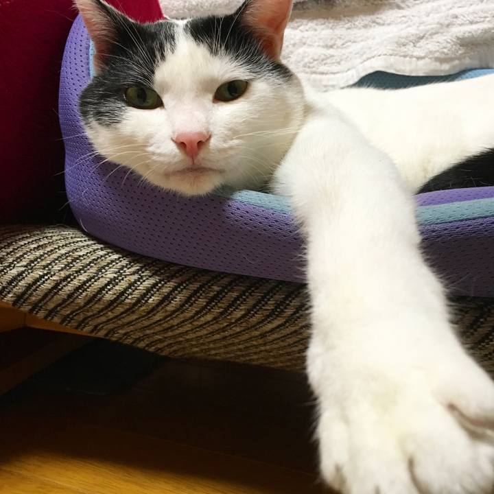 F775f9ec cdc0 4c5a ba44 cc6973de7663