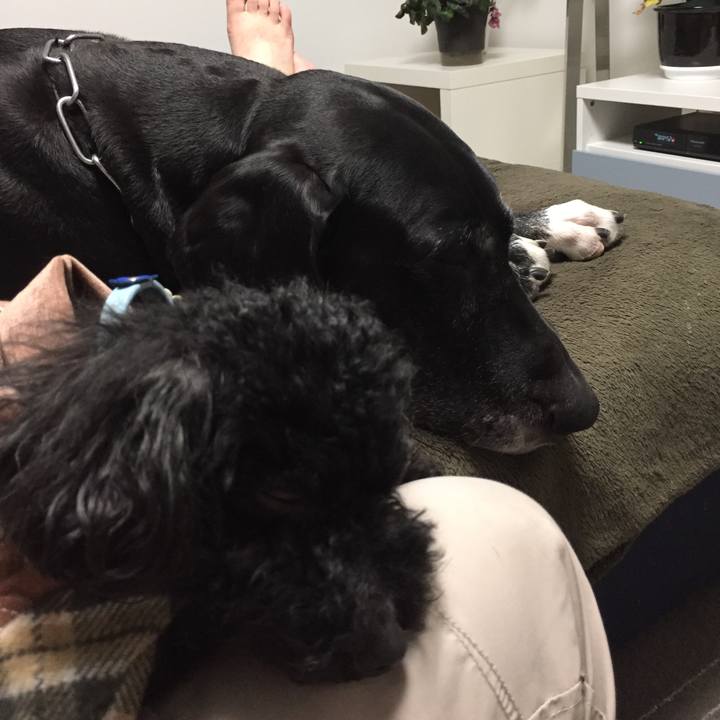 F77653db 5a1e 4c1e 882e 81f161450992