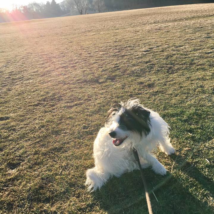 F7765955 e194 43b3 b42c be4dbfce4019