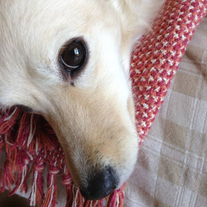 F7769934 5d57 4281 afb1 0fca78bf6cef