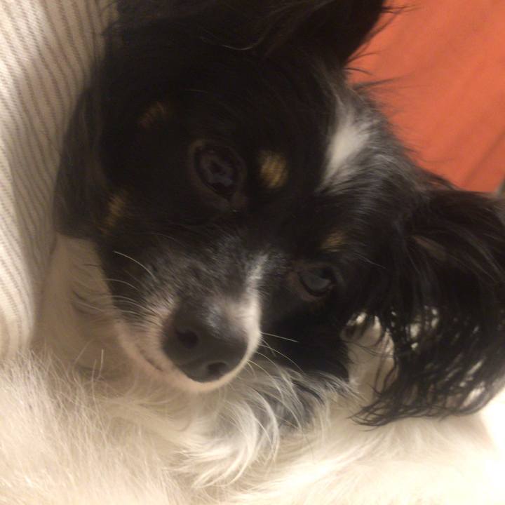 F776cc52 35b5 42ac 90cd 0eef55233f51