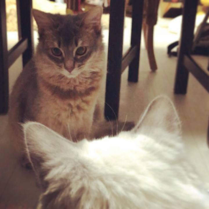 F778c606 4442 4c80 bb93 4e5397f32f6c