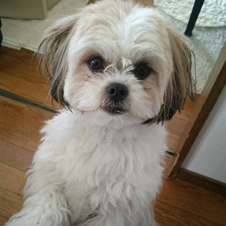 F7797e94 3056 4a6e 9580 110dd89076d6