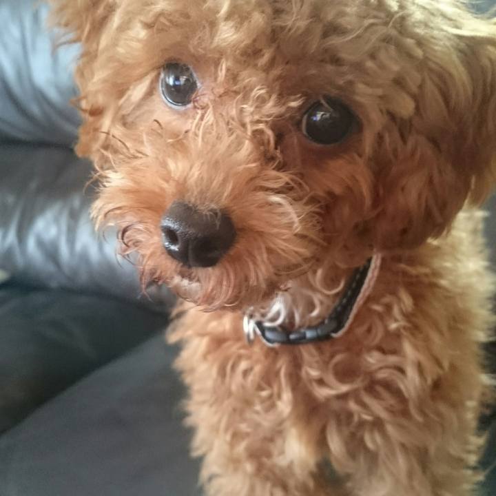 F779bf34 dbff 426a 80f1 4f9ff44da20c