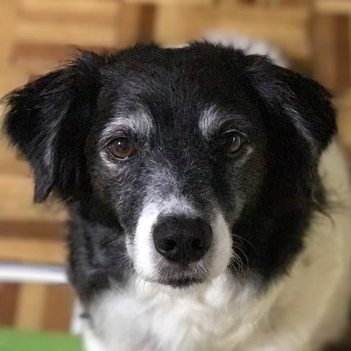 F779c5fd 3cb3 4d57 a4dd 2962114838a6