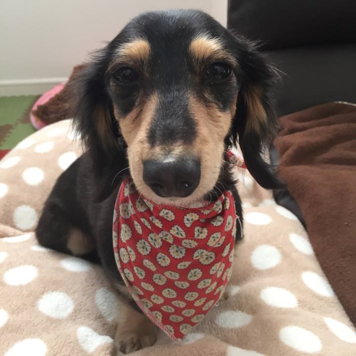 F77a8ed7 343c 4731 a687 8bc12ca5886d