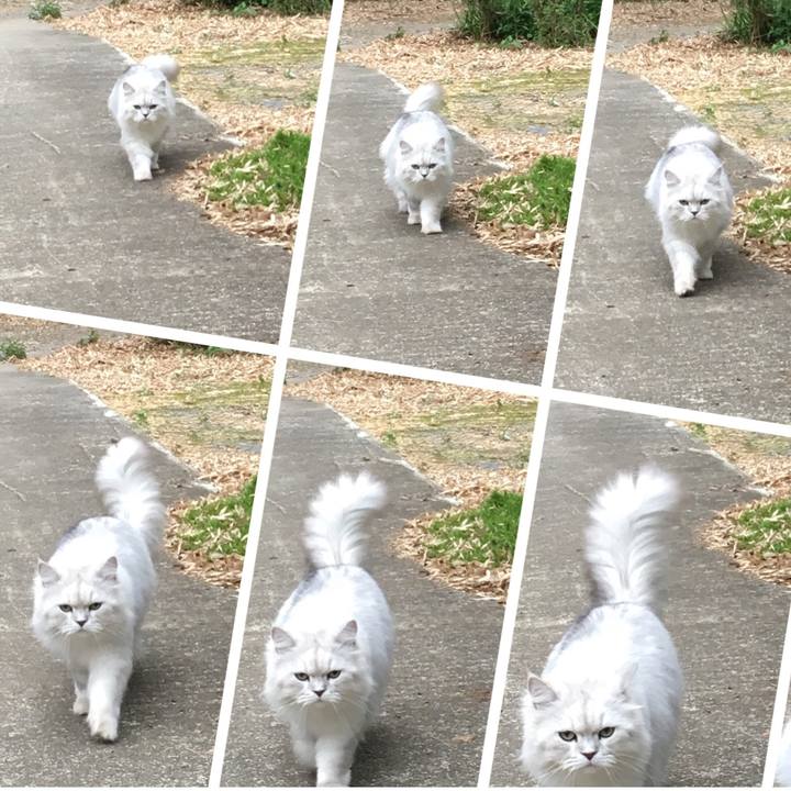 F77aa81b 3b49 4671 a1fe ed505207ff95