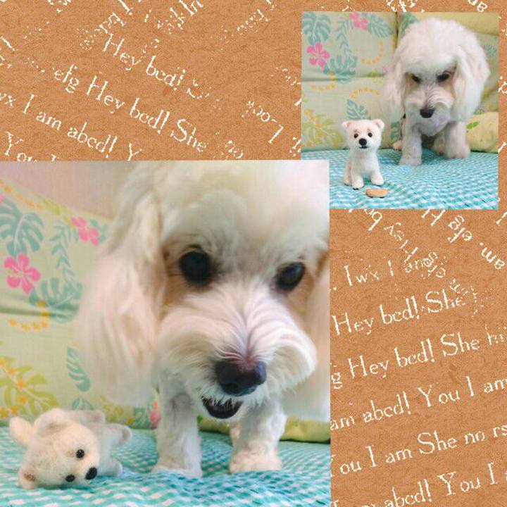 F77aea61 b4bb 4241 a88a a4629ff2e2ce