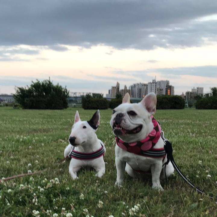 F77b1825 d612 4e48 80c5 ae7778dfc94f