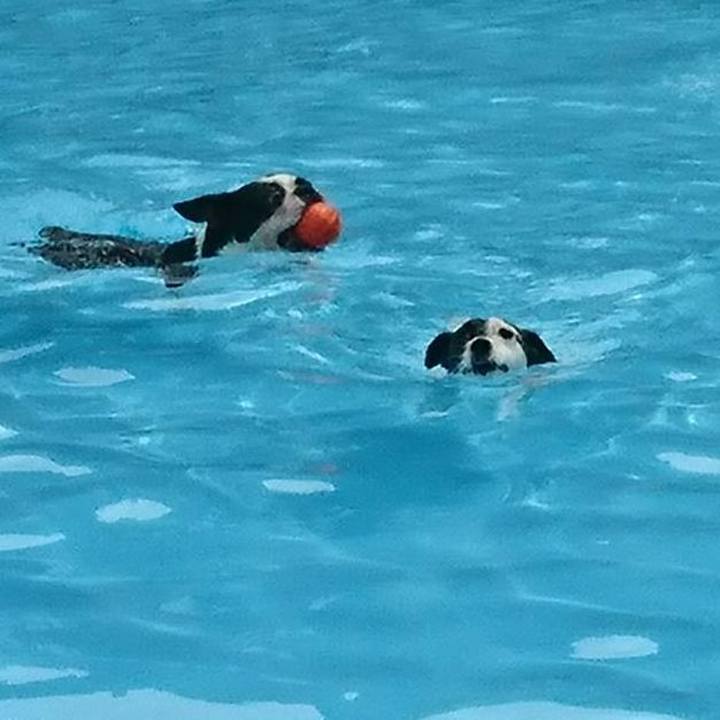 F77b6a2a 4273 4ce6 9b4d 113686ceb7ba