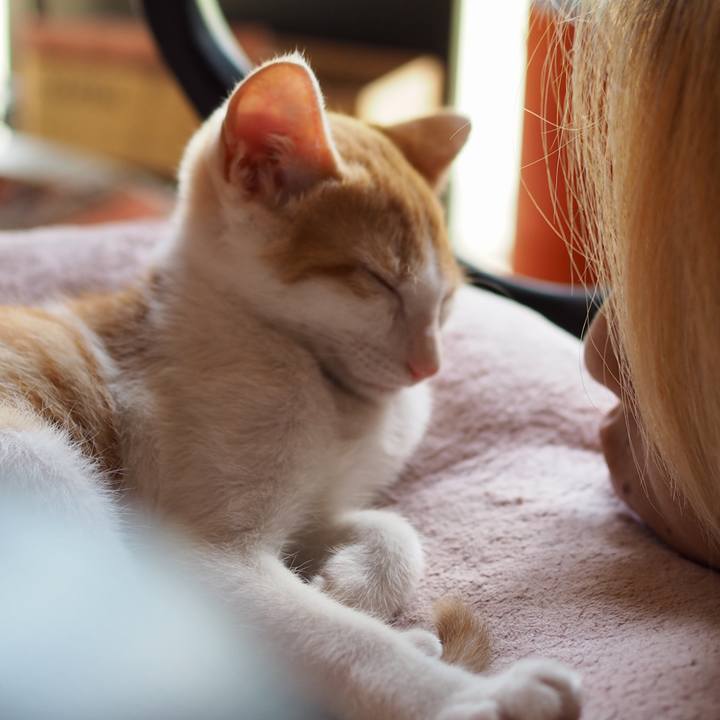 F77b6dca d067 4b42 a17c 802fef9f28ca