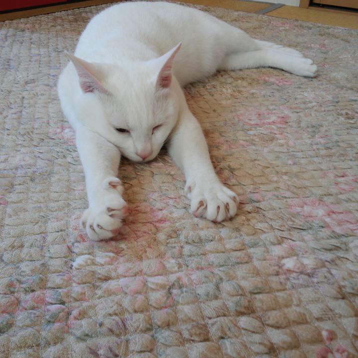 F77b9a62 1771 439f a629 4f97a7a2dfbe