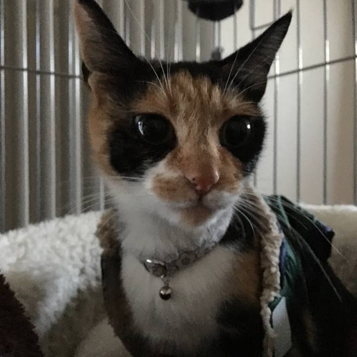 F77c3186 b9f2 495e b7fa ca7902203d39