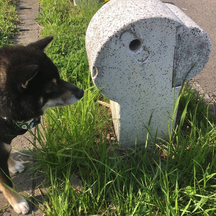 F77cc44f a55b 4aae 8bef 9421b1a9fa93