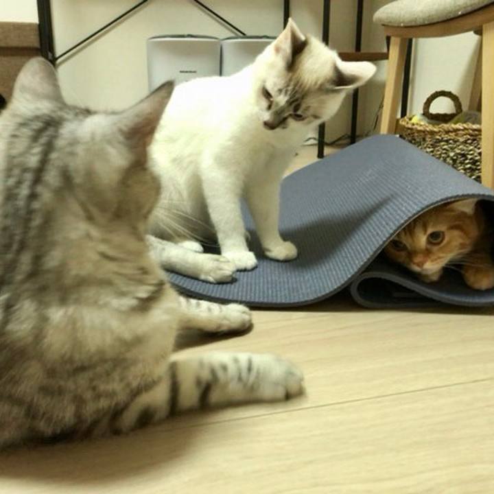 F77d413d a3a6 4d96 8f22 454bb1917917