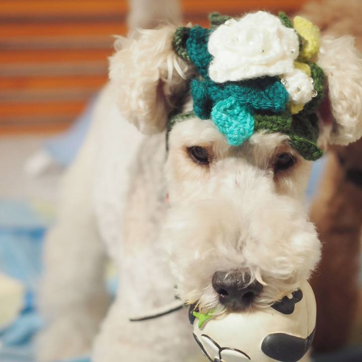 F77d9537 ba64 417a 8887 78d74875d86d