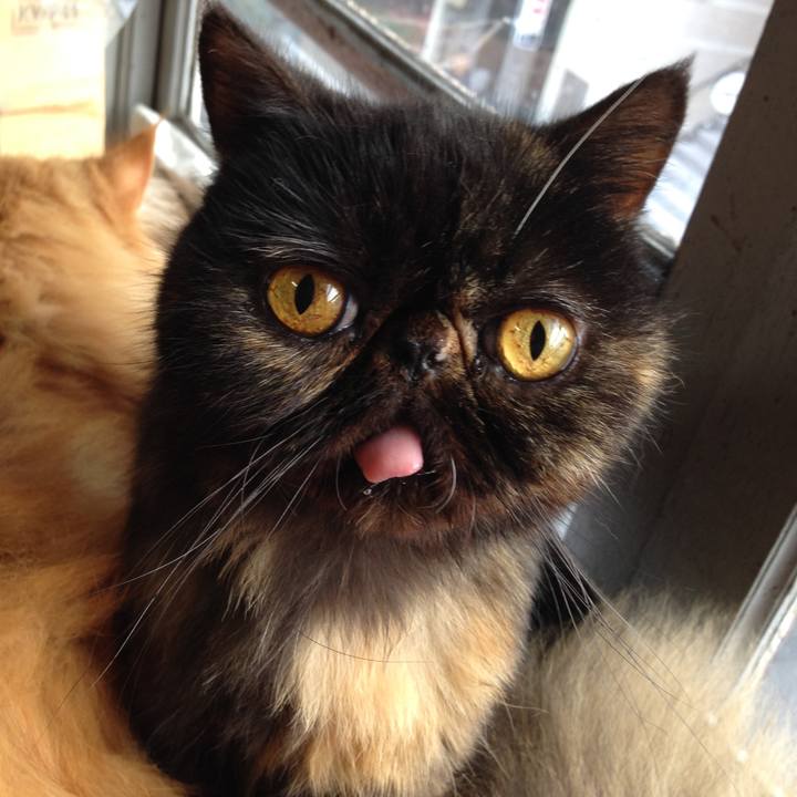 F77d9f98 3ce7 4672 a478 4090908982c1