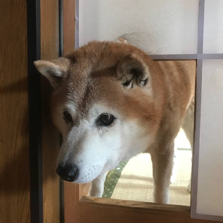 F77da83d f0f2 412f a48b 2e6a377d7f25