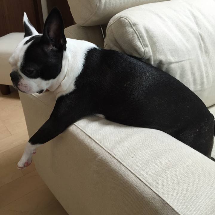 F77df940 7ab1 4b22 9751 132d13cd397e