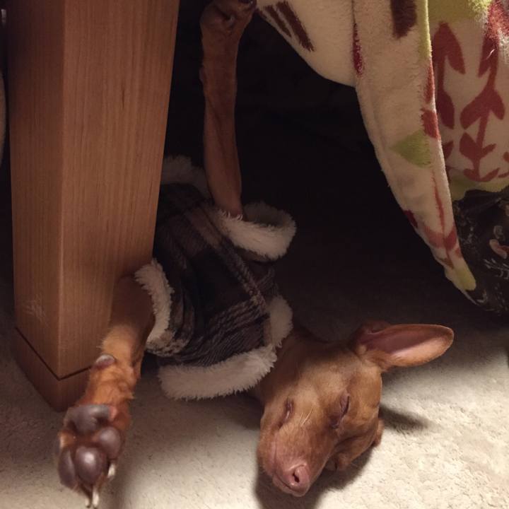 F77e3c80 57eb 4ea2 b2d2 17c05e3659f3