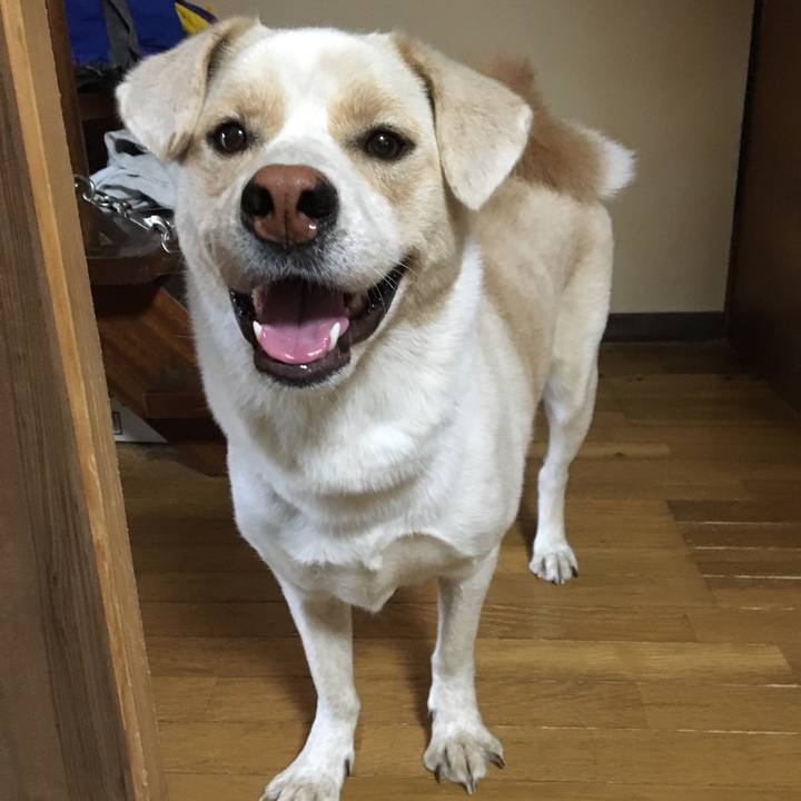 F77e4bee ab26 4f7e 96b2 9f1779b8ed0c