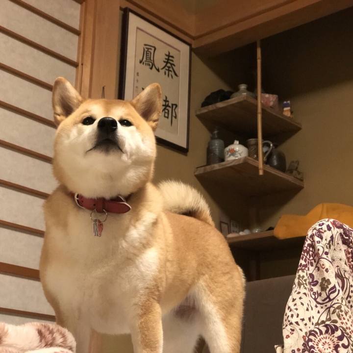 F77ee14b c803 4cfc 8e53 3bcf266706fd