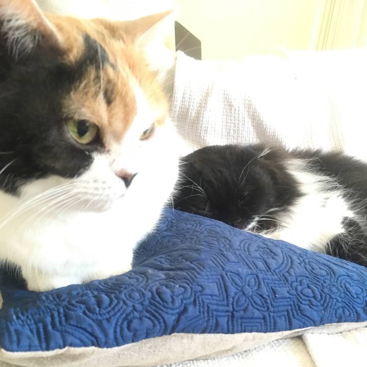 F77ef844 76e6 4d91 9609 c43583136d63