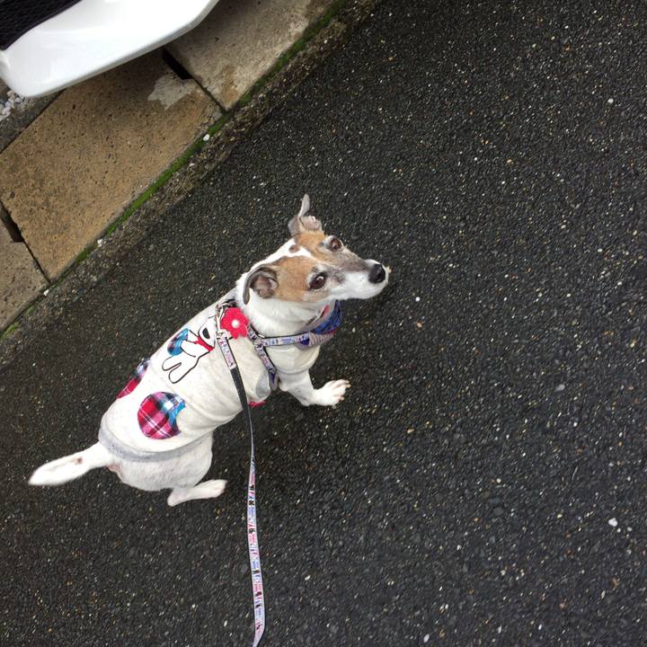 F77f50da 3706 4483 885b 42982d65ea16