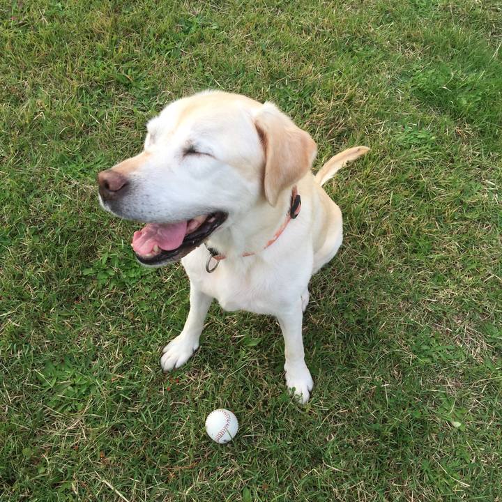 F77f5e0f b20c 4967 9710 2980192a1157