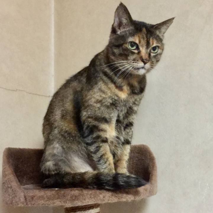 F77fab4a 8838 4883 b4fc 26edfa82e3c1