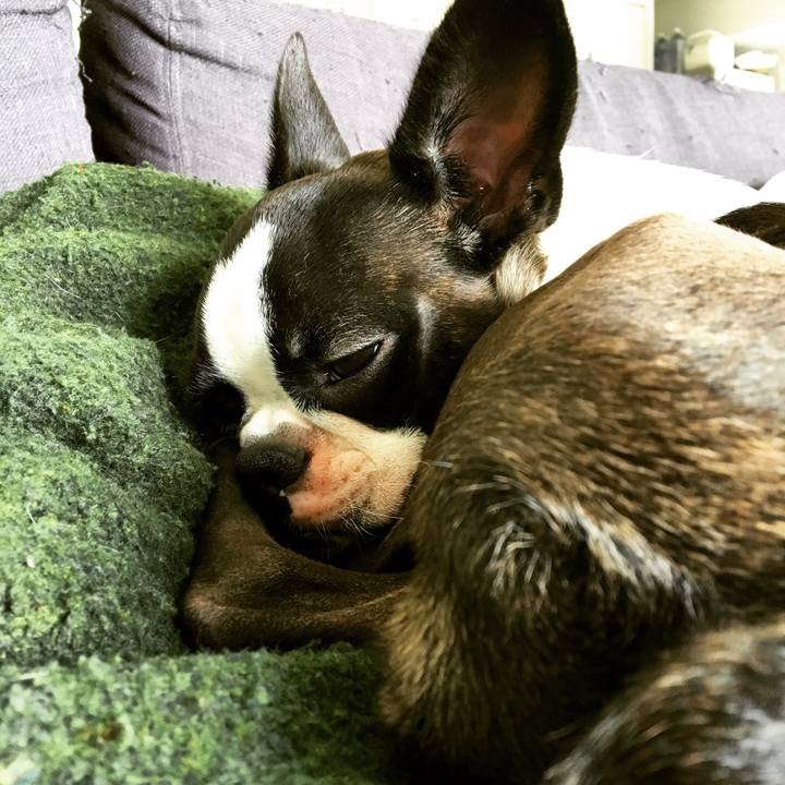 F77fb65d 1fcc 42c0 9ab4 45205220b650