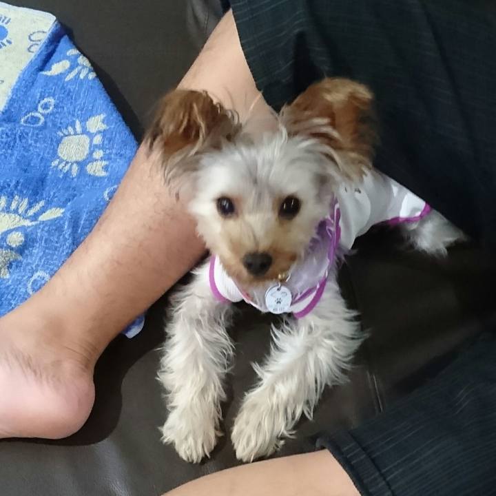 F77ffc34 0376 47ec af99 5161bbdad7d8