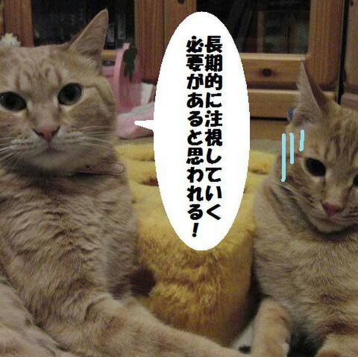 F7803401 8bbe 4423 a4c3 d42258d7edce