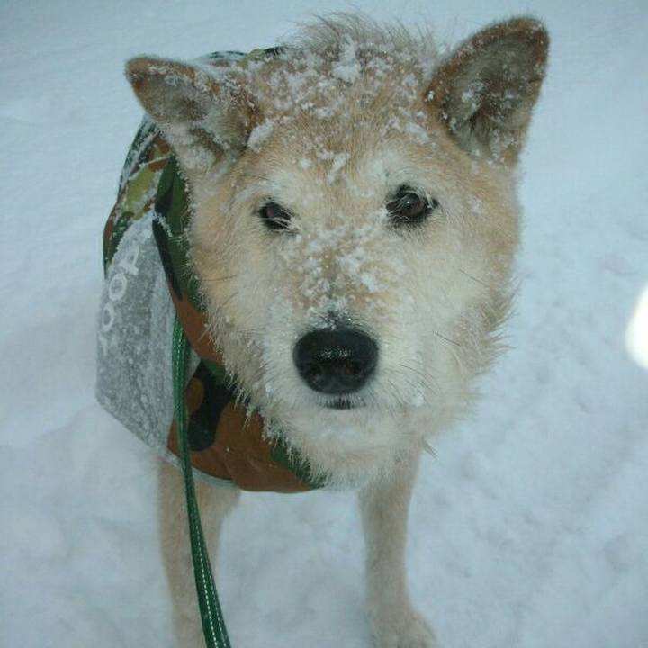 F78094af 3545 4f47 a8df 0f523ce5c1a1