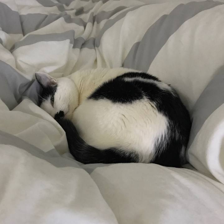 F780be65 69d5 4439 8139 e386a53f06dd