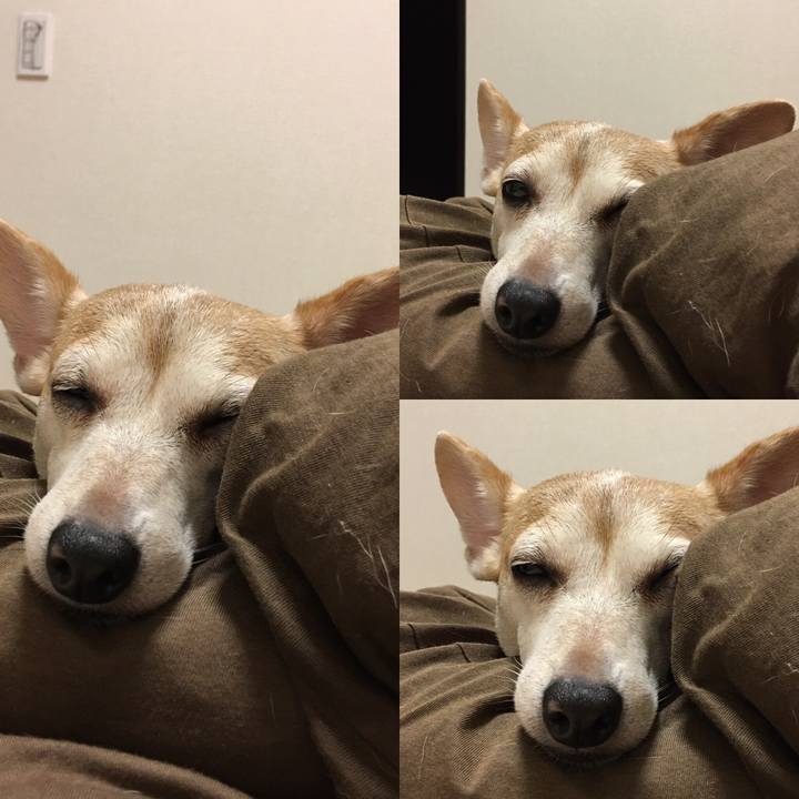 F780f2dc ebad 421f 9c41 03565278a42a