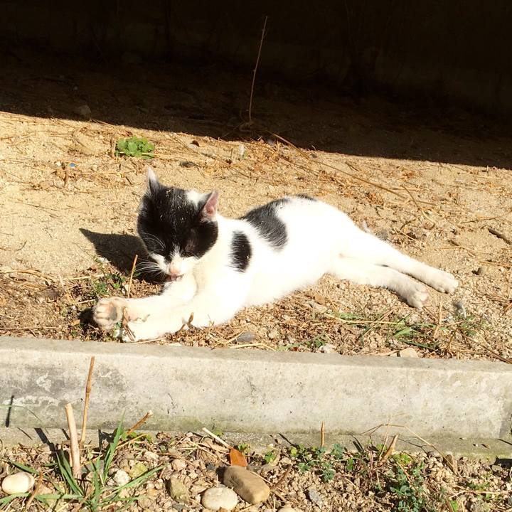 F7815574 7f6a 483b b615 fc5fc4c99986